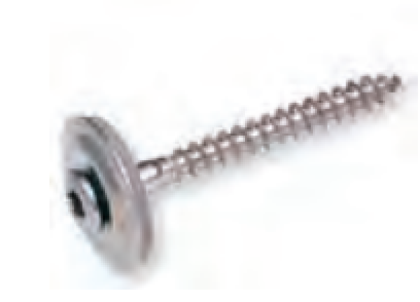 VIS INOX LAQUEE 4.5x25mm diam15